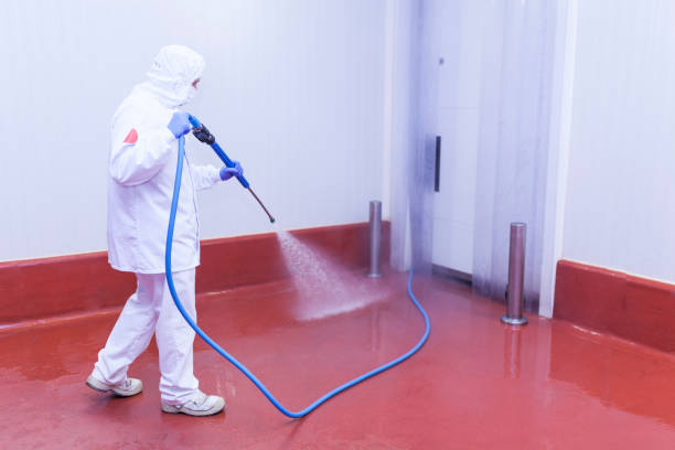 Professional Pressure Washing Services in Fort Walton Beach, FL